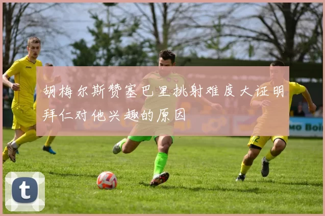 胡梅尔斯赞塞巴里挑射难度大证明拜仁对他兴趣的原因