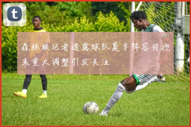 森林狼记者透露球队夏季阵容将迎来重大调整引发关注